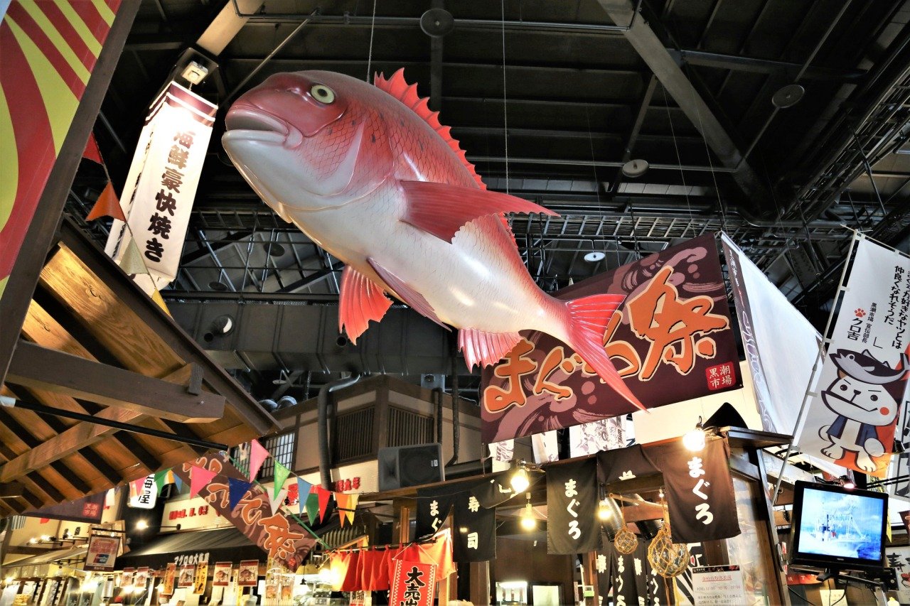🎡 와카야마 마리나 시티 이미지 4